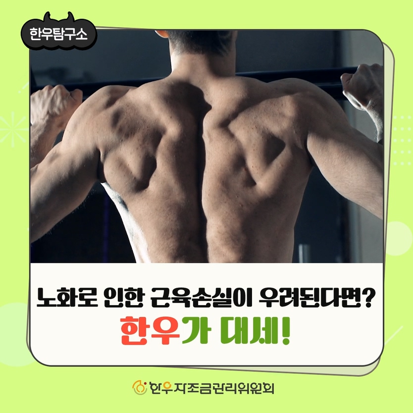 sns이미지