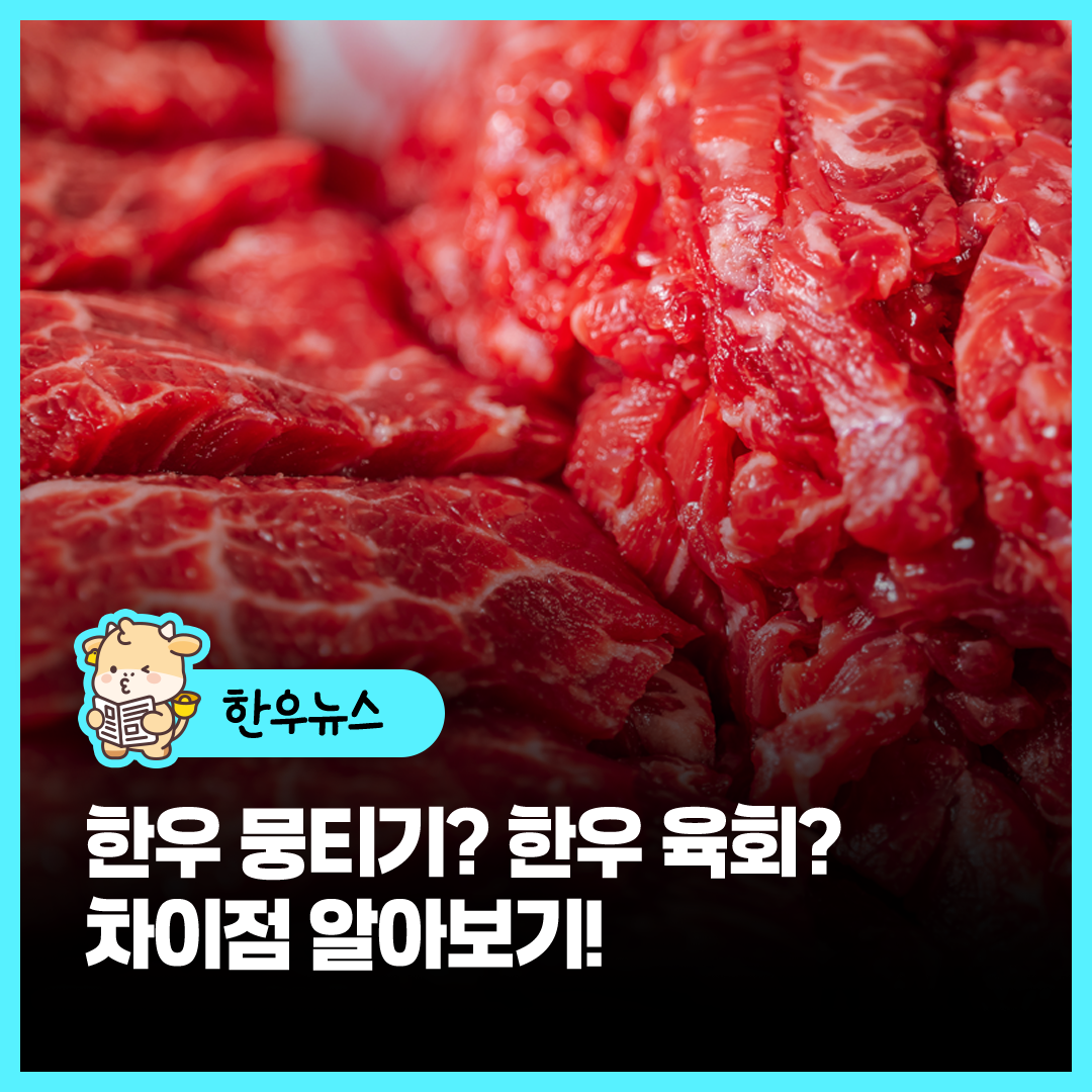 sns이미지