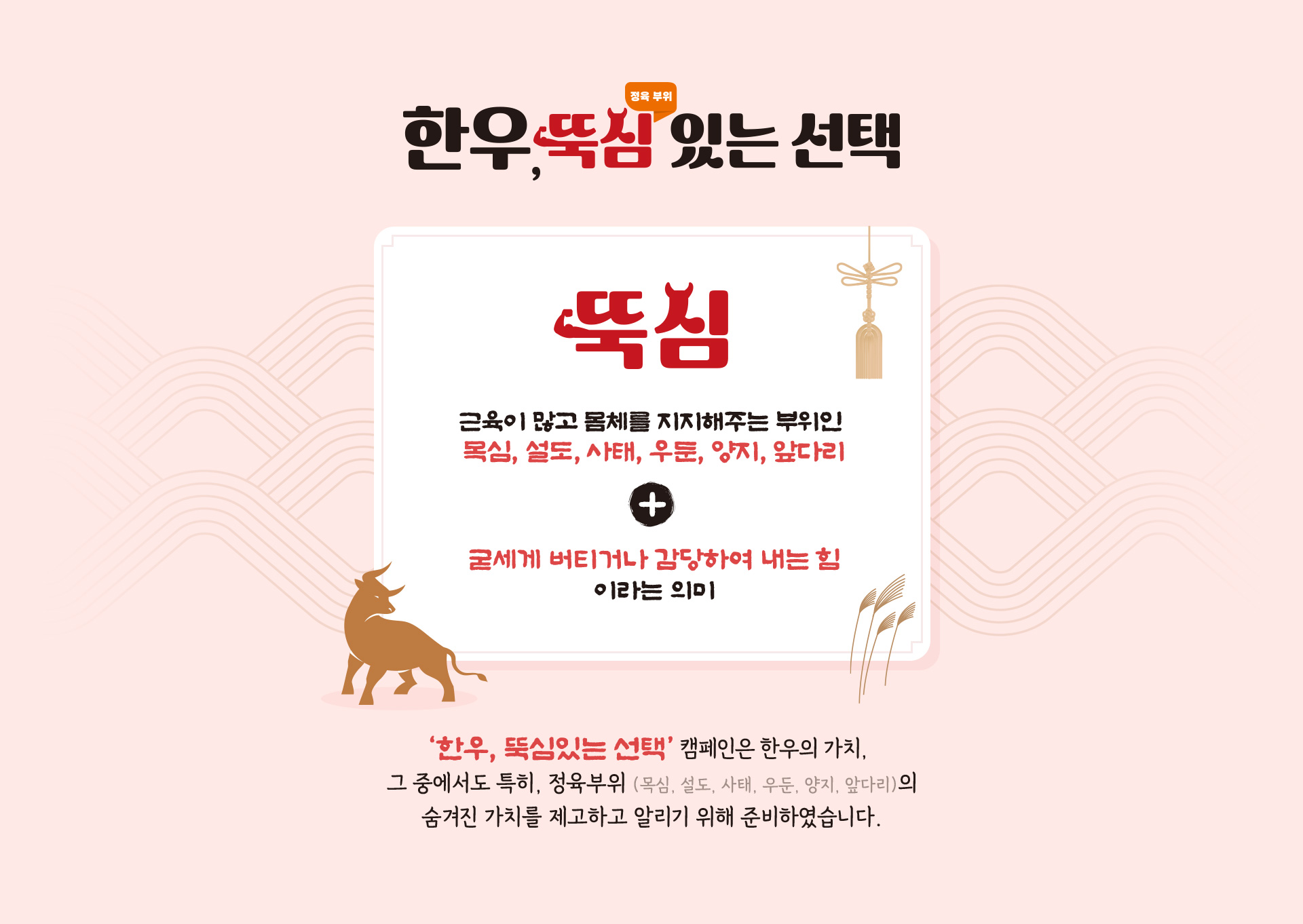 한우, 뚝심 있는 선택