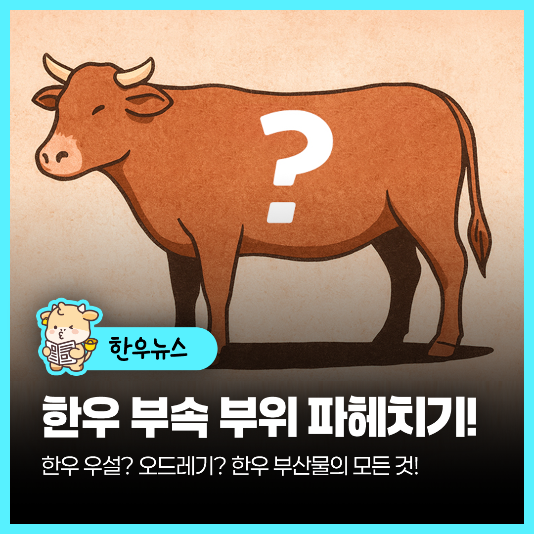 sns이미지