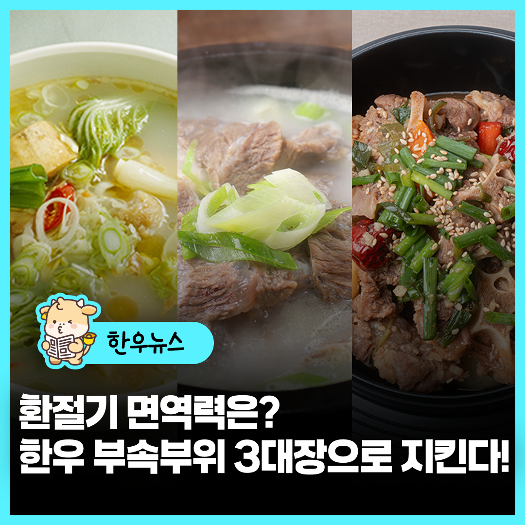 sns이미지