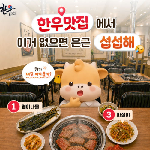 sns이미지