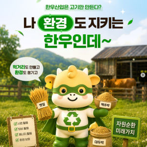 sns이미지