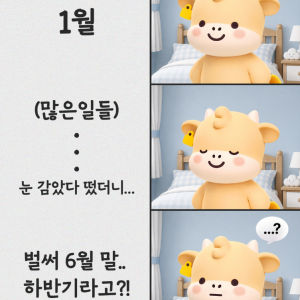 sns이미지