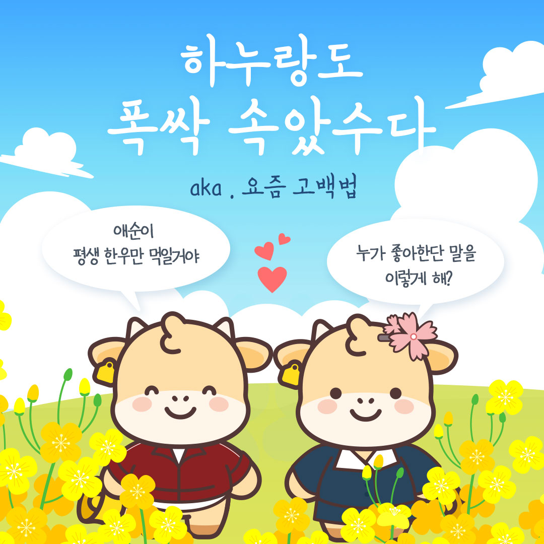 sns이미지