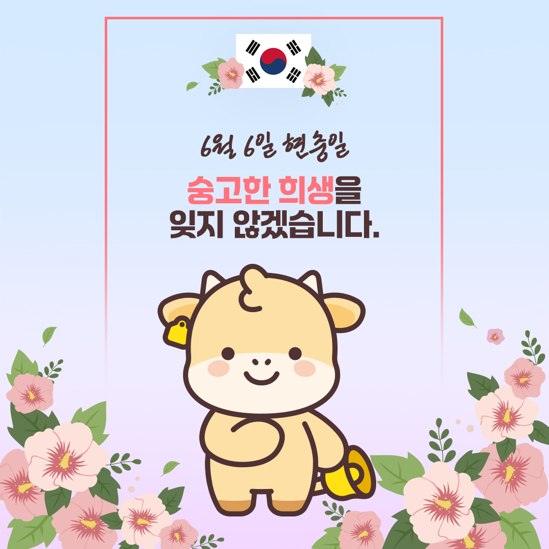 sns이미지