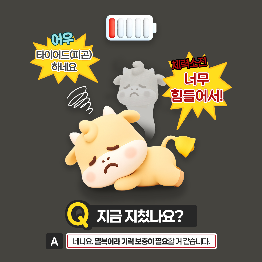 sns이미지