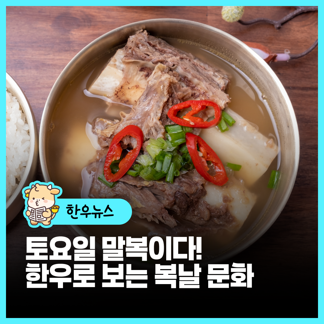 sns이미지