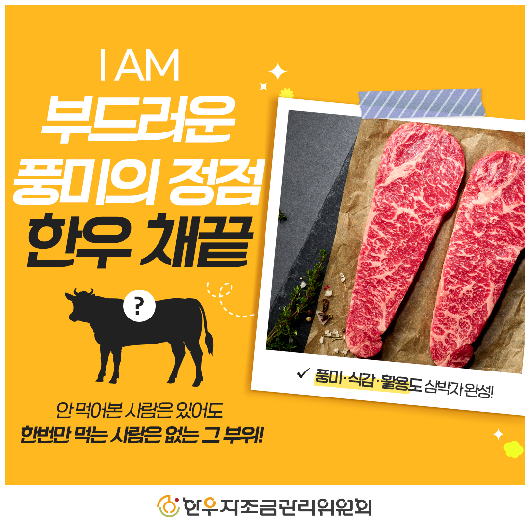 sns이미지