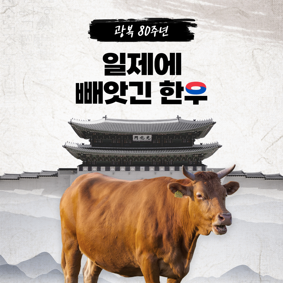 sns이미지