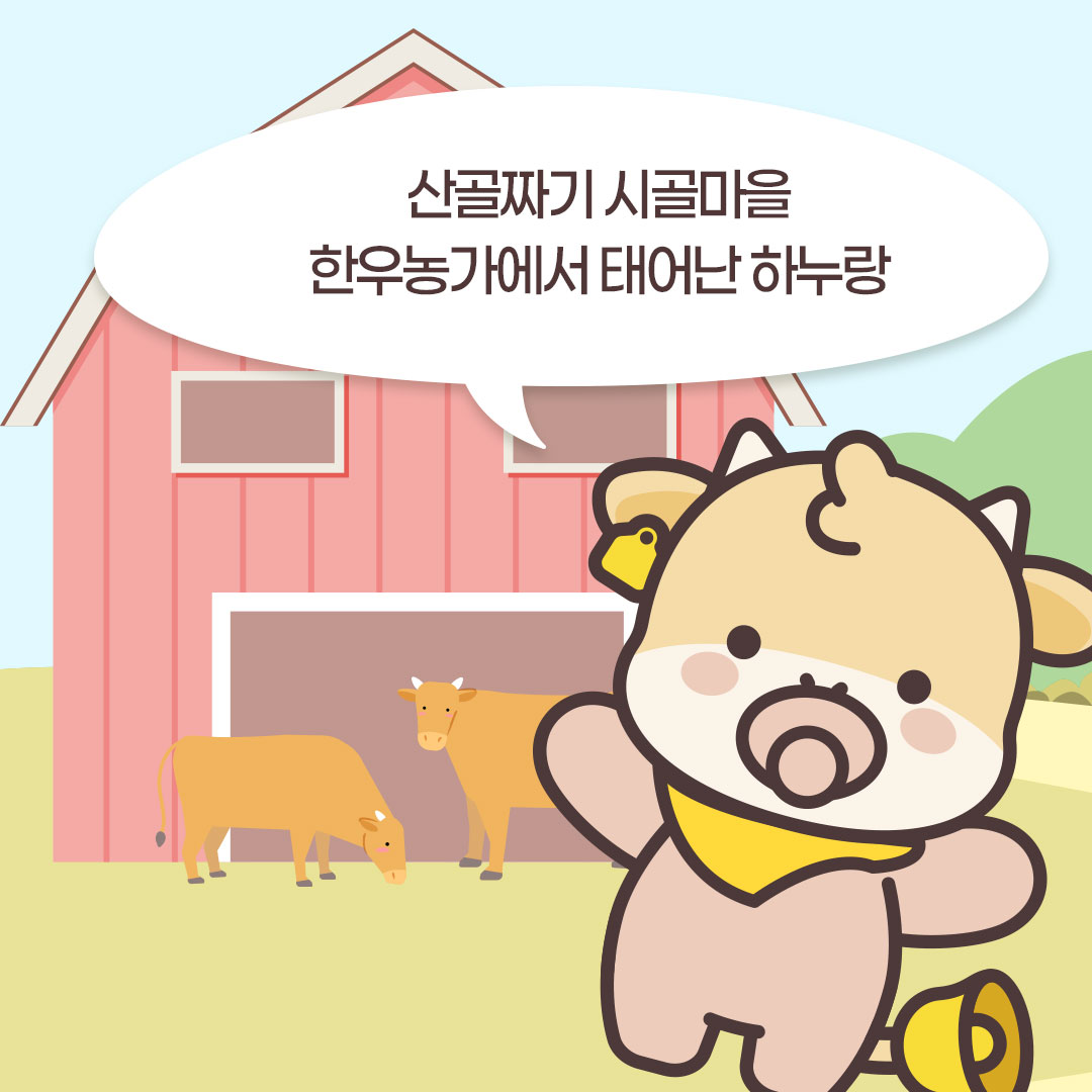sns이미지