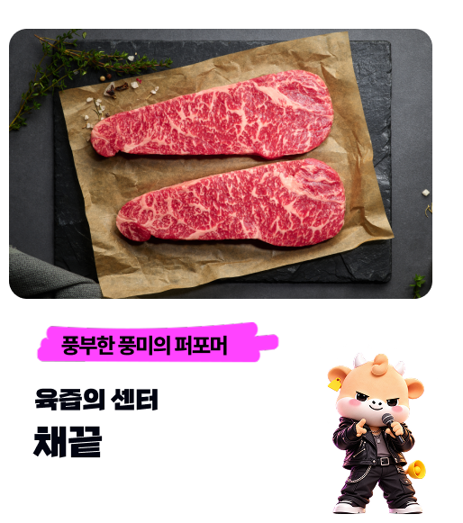 풍부한 풍미의 퍼포머 육즙의 센터 — 채끝